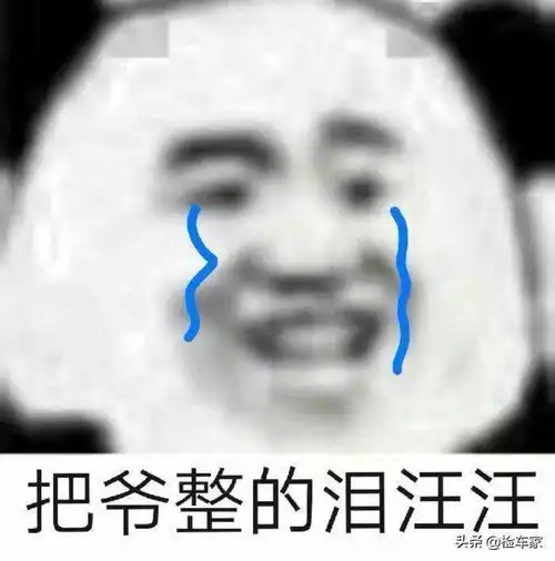  便宜不好捡这辆比市场价便宜2万的大众迈腾,13万谁敢买