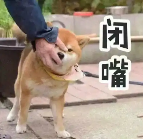  你还年轻,你有能力活成你想要的样子