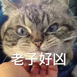  表情包我感到压力很大,委屈巴巴看着你