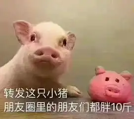 小猪喊到一系列表情包吵