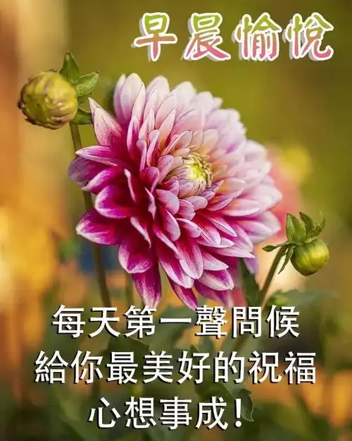  8月30日问候早上好图片带字动态表情早上好图片问候祝福语句子