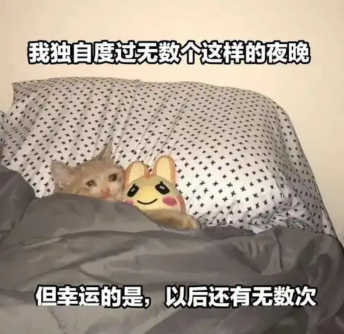  奇怪的猫猫表情增加了