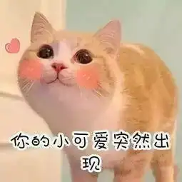  星河老师每天敷面膜真的有用吗