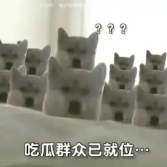  聊天沙雕必备丨狗子拿刀表情包,就问你怕不怕