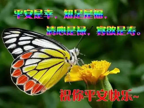  我在这美丽的清晨,给你送去问候,那就是最美的,早晨好