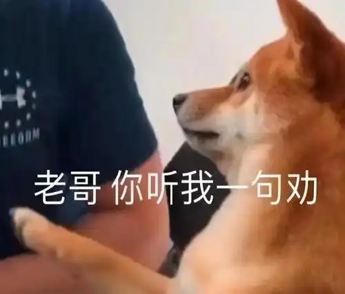  在职高和技校里读书,是种什么样的体验,会很乱吗