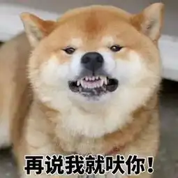  表情sir过完这一夜,我就不会再想你