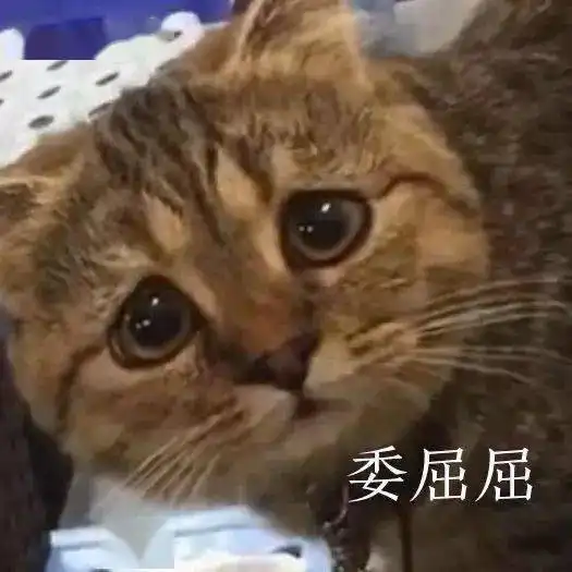 沙雕表情没有困难的工作,只有勇敢的打工人
