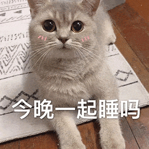  表情sir吃小孩辣