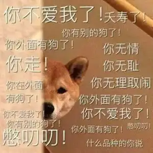 你怎么跟狗一样表情包