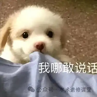  中国式学历的鄙视链,管你是985是211还是海归留学,统统不放过