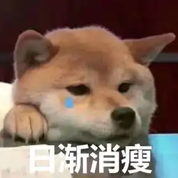  还要涨新县人,你还吃的起猪肉吗