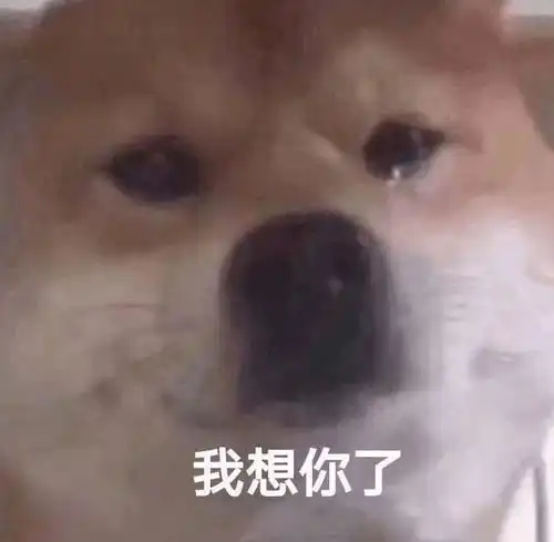 欠打的表情包打工