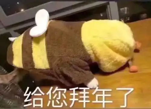 令人作藕表情包无水印拜