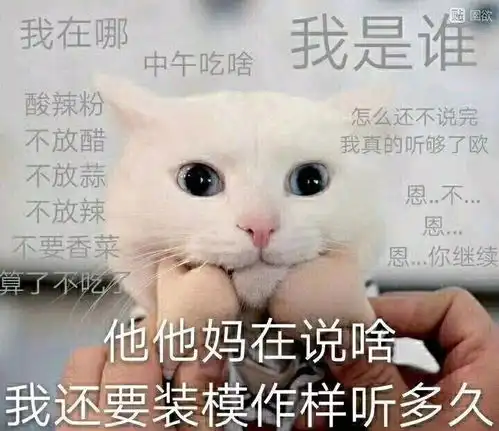  猫加熊猫,无敌表情包,无水印