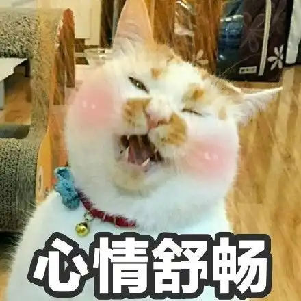  楼楼再见