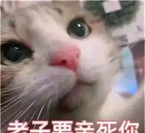  搞笑段子我把寝室的避孕药都调包了,过几天怀孕的却不是我