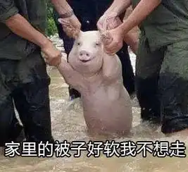  放开我我不要开学表情包我不要开学网红小猪表情包下载乐游网游戏下载