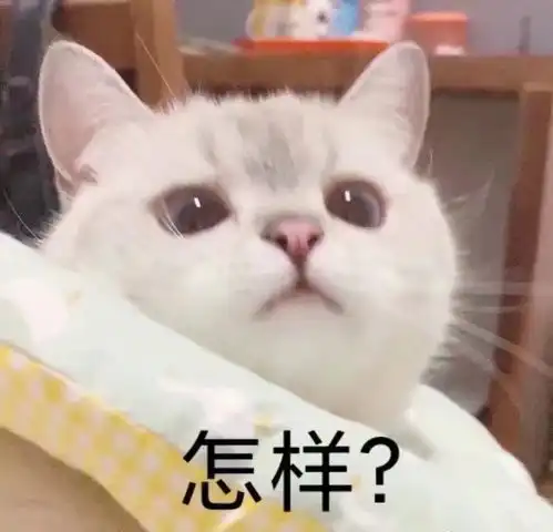  打发无聊时间视频