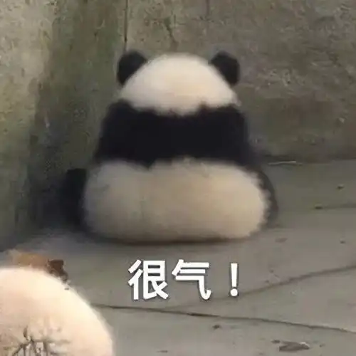 想我了吗表情包熊猫头大