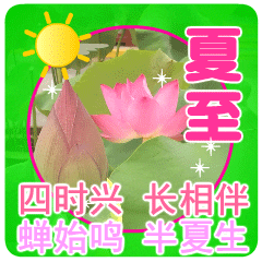  2024年6月21日星期五非常漂亮夏日早上好问候动态表情图片大全最美早安问候祝福语图片