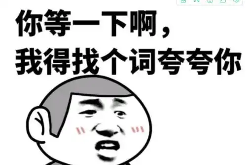 你傻没事我瞎表情包主人