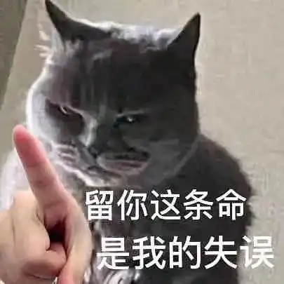  表情包沙雕系列你也有猫饼么