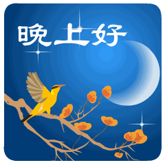  晚上好表情包问候语问候群里晚上好句子