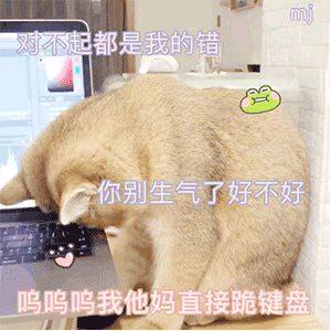  可爱猫咪动图表情包