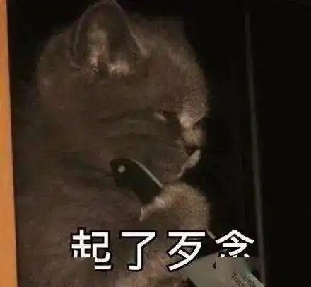  四处搜刮来无水印表情包,分享给大家