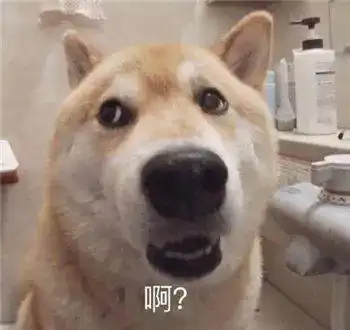 沙雕狗子表情包车轮战
