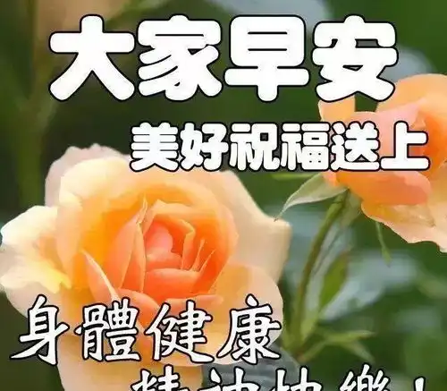  不求彼此拥有,只愿一生相守不求海枯石烂,只愿心灵相伴,早安