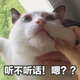  幽默段子笑话昨晚上睡前喝多了水,做梦都在找厕所,还哪都找不到
