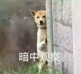  唐尧东临场应变的能力要提高
