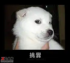  xiangyuzhichu的相片