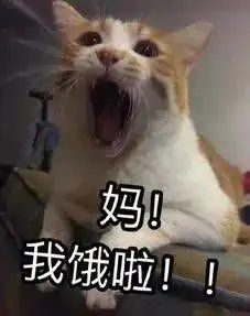  感动全网的妈妈味道,真香真暖