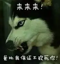 qq表情搞笑带字的图片二