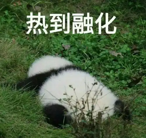  预防登革热,翻盆倒罐清积水