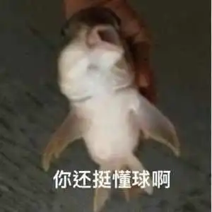  苦难兄弟合计换了41套首发阵容,是谁不懂球