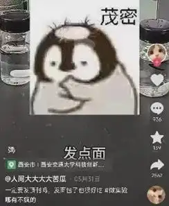  思考了很久,研究生决定放弃发顶刊改发面包,网友发个抖音吧