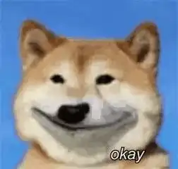  日常可爱沙雕表情小狗狗能有什么坏心思呢