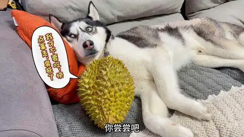 嫌弃我傻了吧唧表情包哈哈哈