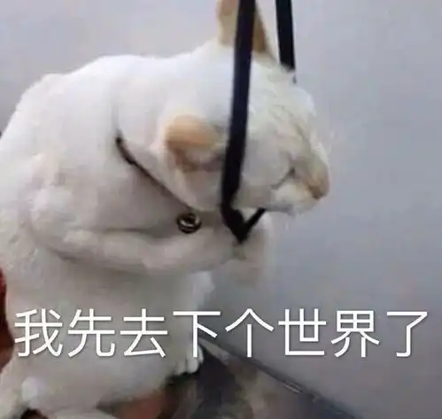  表情包这个世界太乱,快来我怀里