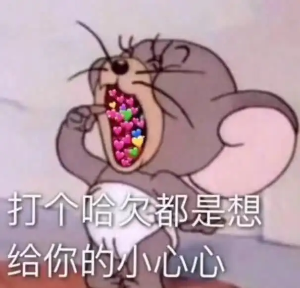 求小饼干表情包大全猫和