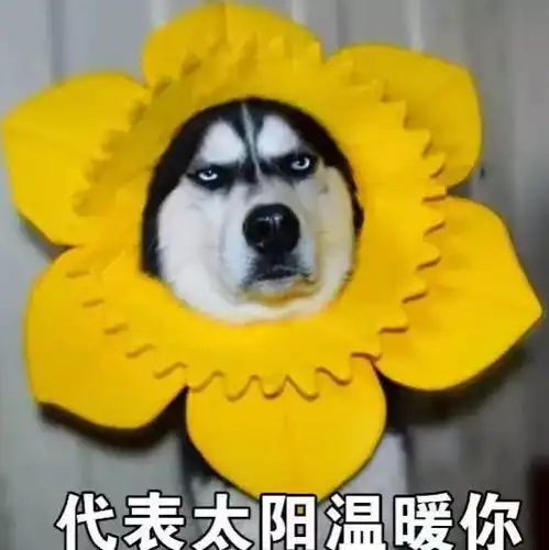  团宣聚新闻以前嫌它难看,现在想穿也找不到理由了校服报道引发怀旧潮