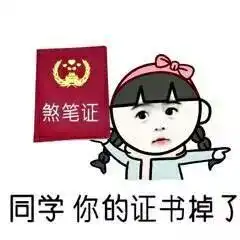  听说你也有个同款舍友