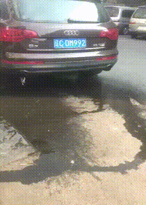  妹子,你改增肥啦,不然小心被大风吹走了