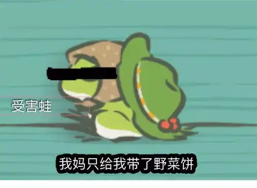  我那爱旅行的青蛙儿子,最近都去了哪里
