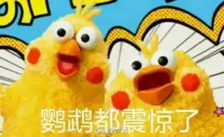  全网最丰富的鹦鹉兄弟表情包,收好
