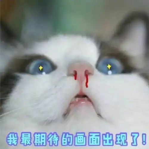 生气猫咪表情包